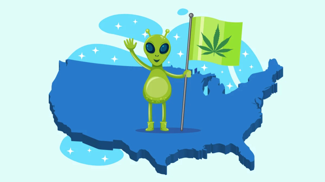 marijuana legality by state